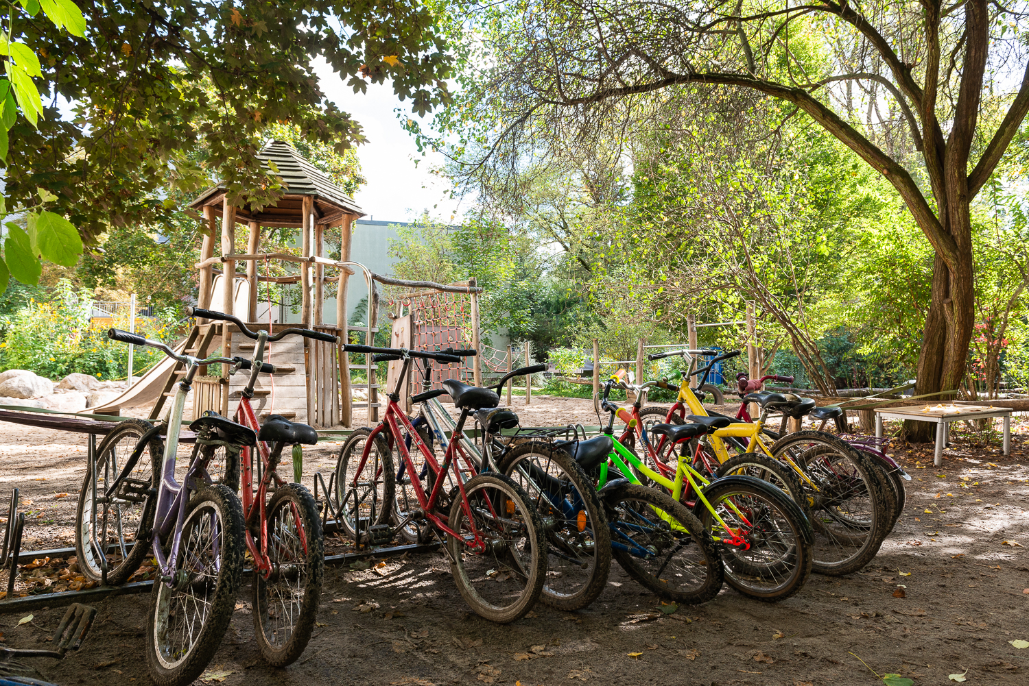 Fahrräder im Garten